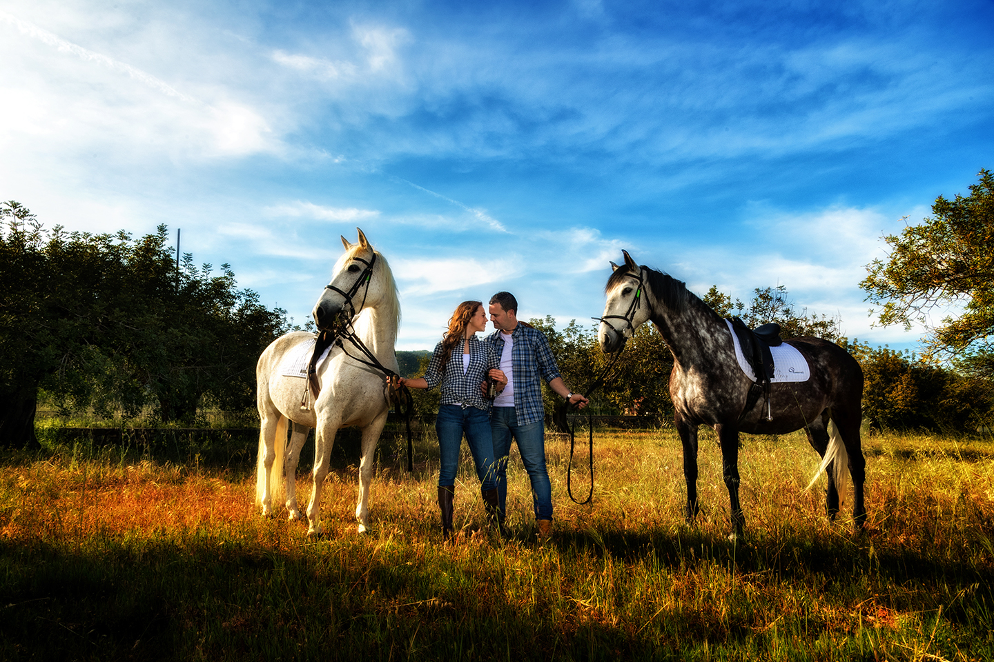 fotografía con caballos en Castellón